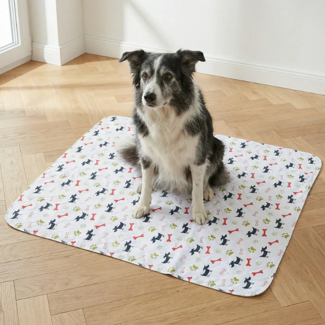 Hygienische, saugfähige und waschbare Hundematte für Hunde und Welpen