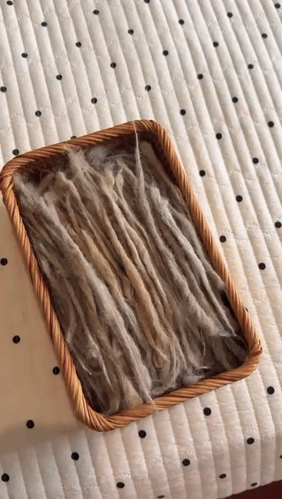 Magischer Elektrostatischer Handschuh – Entfernt Tierhaare im Handumdrehen!